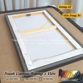 Tranh Canvas Xuong Vien Mat sau