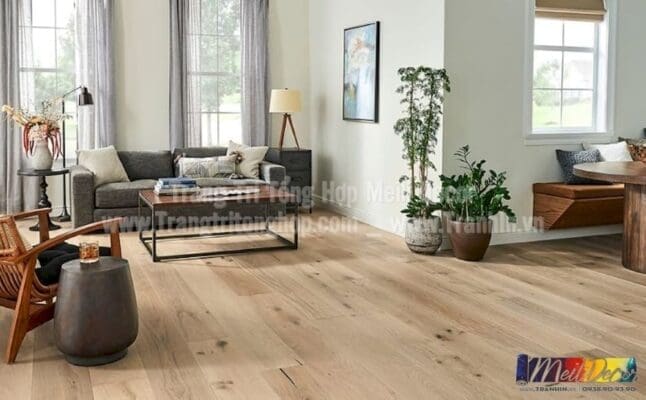 bs9 5 san go watermark