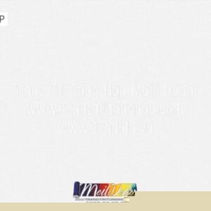 Giấy Dán Tường Trung Quốc BESTIE 8614-4