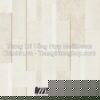 Giấy Dán Tường Hàn Quốc Giả Gạch CHOICE 10300-3 3 Giay Dan Tuong CHOICE KOREA 0824 10300 3