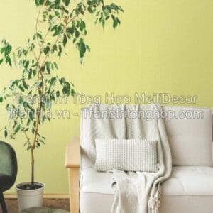 Giấy Dán Tường Hàn Quốc PLAIN 423-5