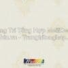 Giấy Dán Tường Trung Quốc STAR CITY 891802 3 Giay Dan Tuong STAR CITY 0824 891802
