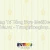 Giấy Dán Tường Trung Quốc STAR CITY 892002 2 Giay Dan Tuong STAR CITY 0824 892002