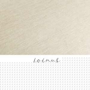 Giấy Dán Tường Việt Nam JOINOUS 8606-3