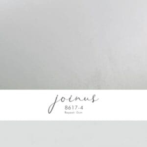 Giấy Dán Tường Việt Nam JOINOUS 8617-4