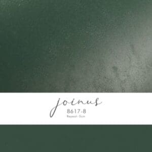 Giấy Dán Tường Việt Nam JOINOUS 8617-8