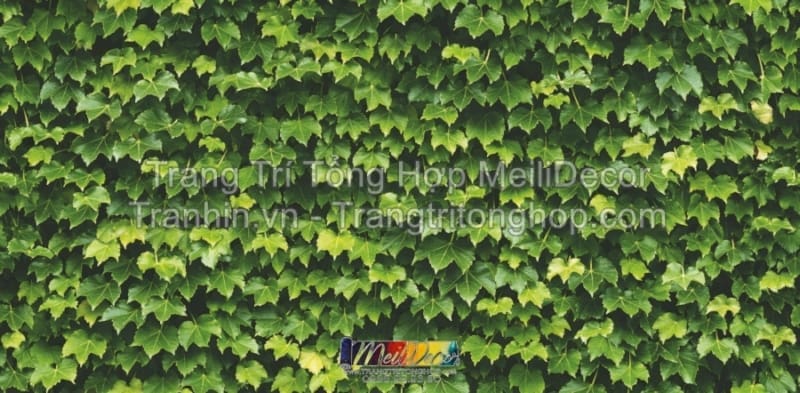 Giấy Dán Tường Hàn Quốc NATURAL 88422-1 3 Giấy Dán Tường Hàn Quốc NATURAL 88422-1