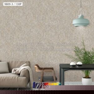 Giấy Dán Tường Trung Quốc THE VIEW 9809-3
