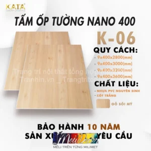 Tấm Ốp Nhựa Nano KATA K06