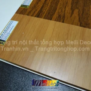 Tấm Ốp Nhựa Nano KATA R05
