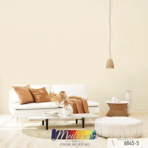 Giấy Dán Tường Việt Nam ALBANY 2025 NEW 6845-5