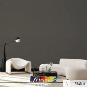 Giấy Dán Tường Việt Nam ALBANY 2025 NEW 6845-6