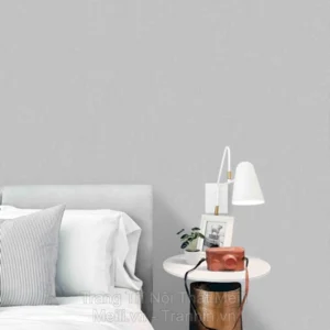 Giấy Dán Tường Trung Quốc TIMES 2025 9210-6