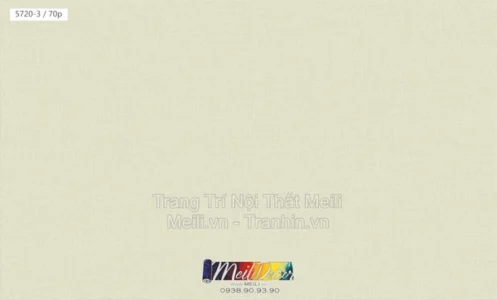 Giấy Dán Tường Trung Quốc VILA  2025 5720-3