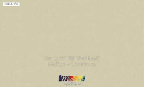 Giấy Dán Tường Trung Quốc VILA  2025 5720-4