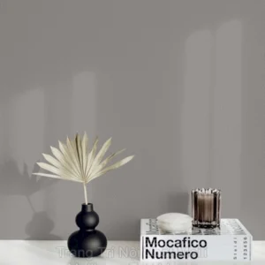 Giấy Dán Tường Trung Quốc VILA  2025 5714-3