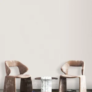 Giay Dan Tuong VILA 2025 PHOI CANH 5722 7