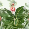 Tranh Dán Tường Phong Cách Tropical ML97010032 3 Tranh Dan Tuong Phong Cach Tropical ML97010032 Texture