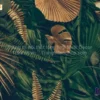Tranh Dan Tuong Phong Cach Tropical ML97010049 Texture