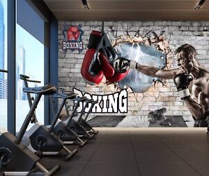 giay dan tuong cau lac bo the thao